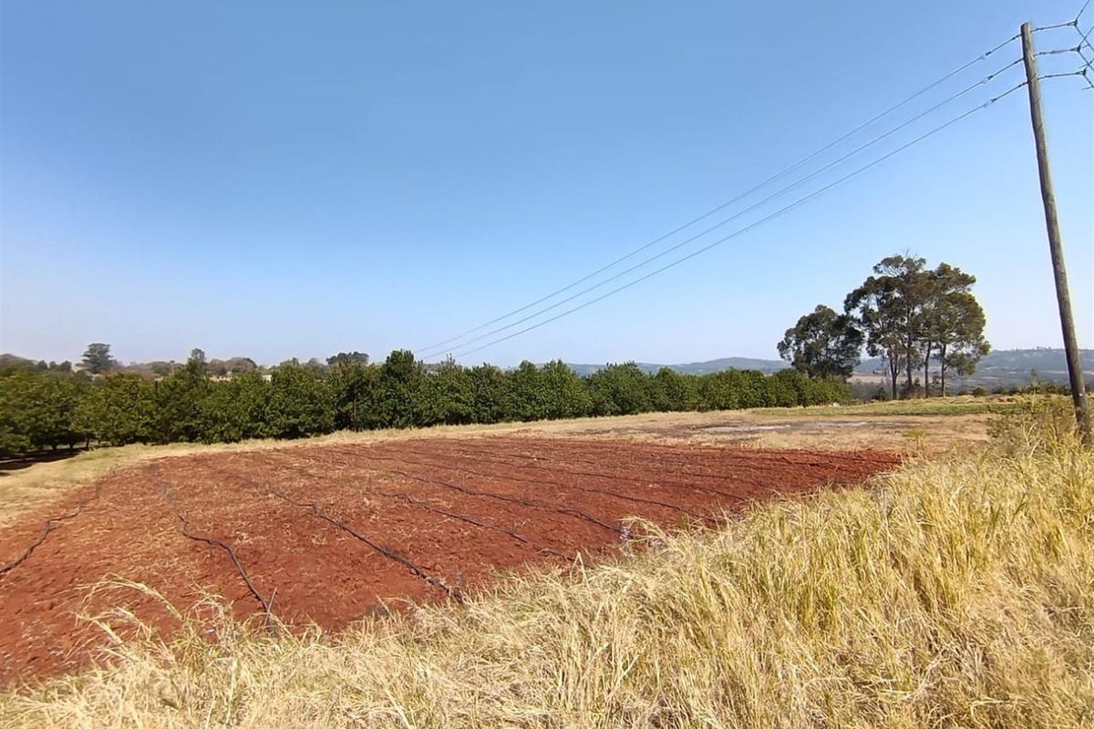 10Hectare Farm with Multiple Homes, Flats and Income-Producing Crops - Photo 2