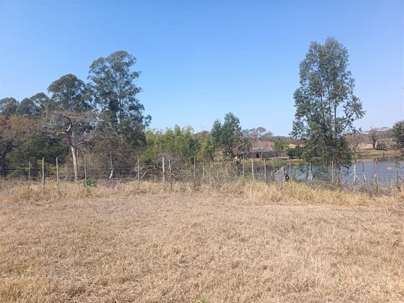 10Hectare Farm with Multiple Homes, Flats and Income-Producing Crops - Photo 9