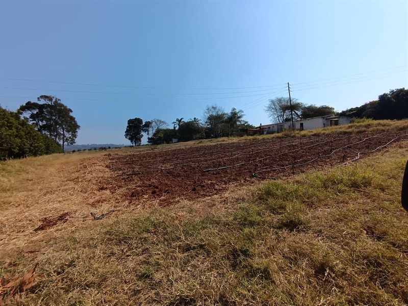 10Hectare Farm with Multiple Homes, Flats and Income-Producing Crops - Photo 7