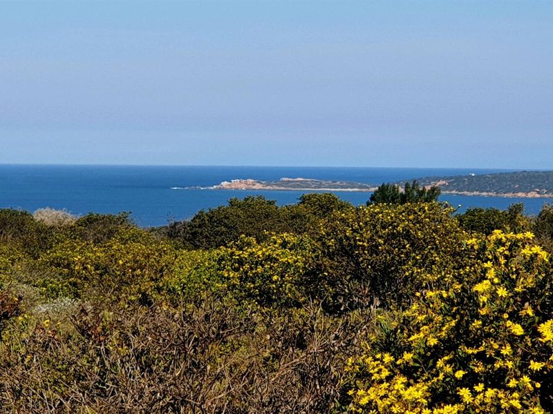 Exclusive Vacant Stand in Springerbaai Eco Estate - Photo 10