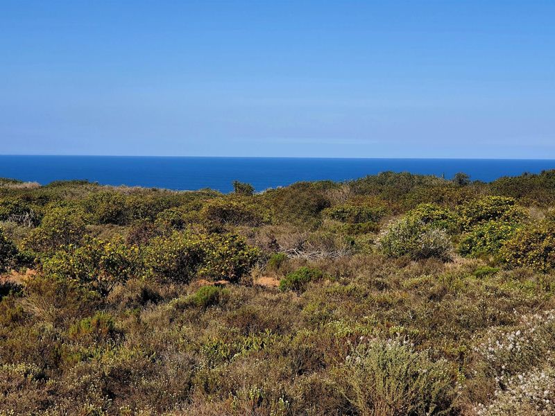 Exclusive Vacant Stand in Springerbaai Eco Estate - Photo 9