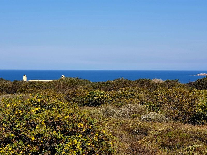 Exclusive Vacant Stand in Springerbaai Eco Estate - Photo 5
