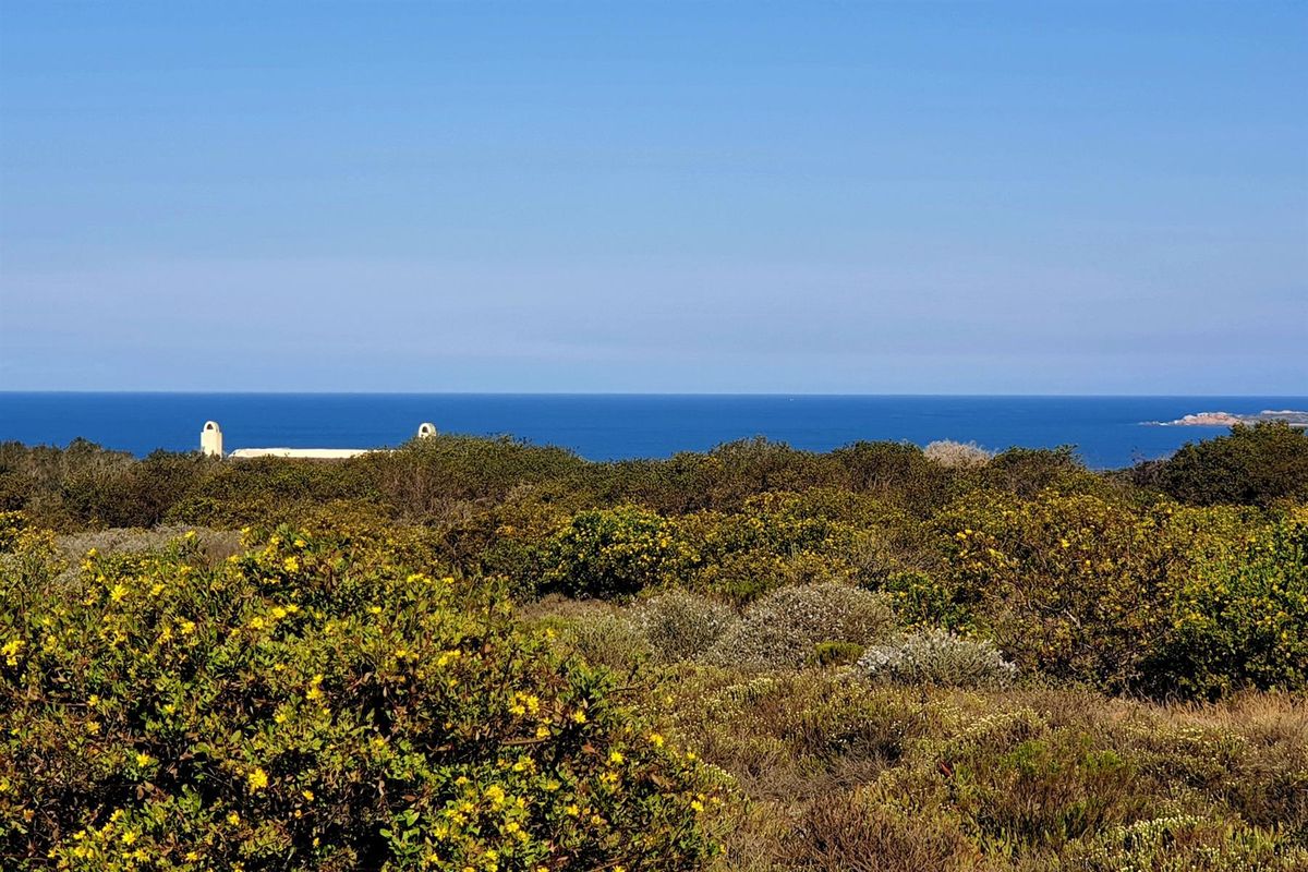 Exclusive Vacant Stand in Springerbaai Eco Estate - Photo 5