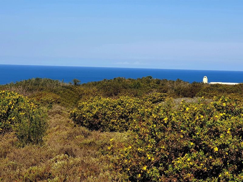 Exclusive Vacant Stand in Springerbaai Eco Estate - Photo 6