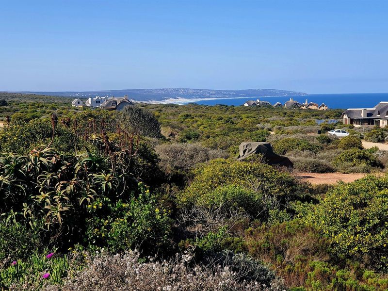 Exclusive Vacant Stand in Springerbaai Eco Estate - Photo 4