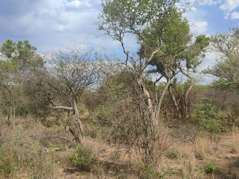 Farm For Sale in Thabazimbi Limpopo - Photo 3