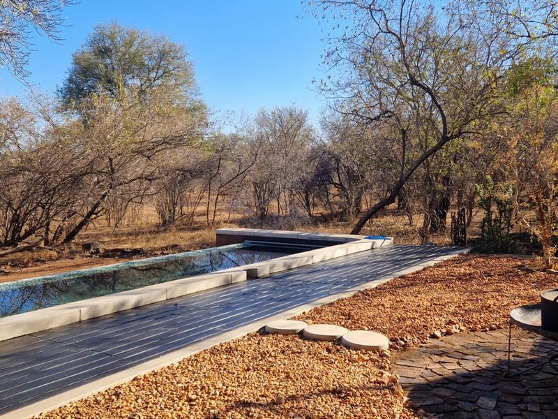 Outdoor pool area featuring a sleek swimming pool, timber decking, and stone-paved patio set against a natural bushveld backdrop.