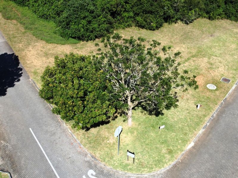 An aerial view of a vacant residential corner plot featuring established trees, paved street access, and manicured grass.