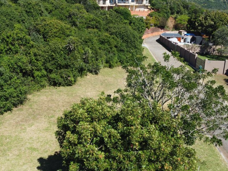 An elevated aerial view of a vacant residential plot featuring established trees, natural vegetation, and adjacent paved access road.