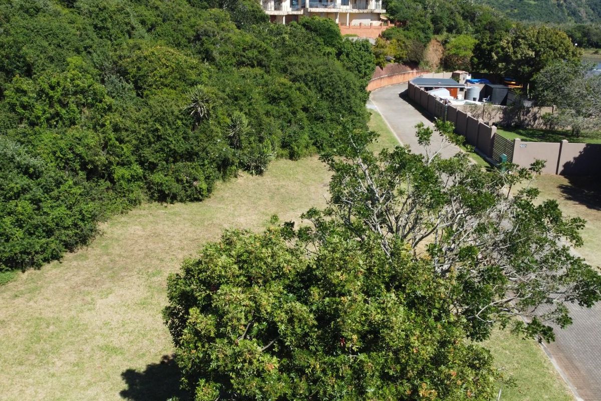 An elevated aerial view of a vacant residential plot featuring established trees, natural vegetation, and adjacent paved access road.