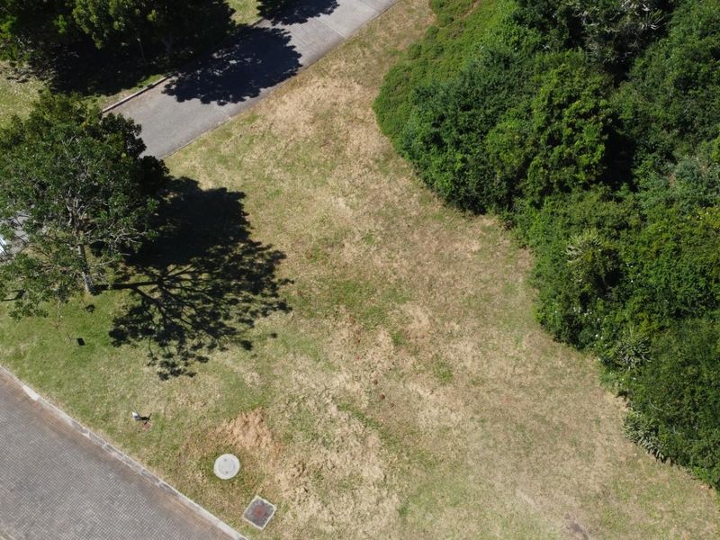 An aerial view of a vacant residential plot featuring established trees, grass cover, and proximity to a paved road and intersection.
