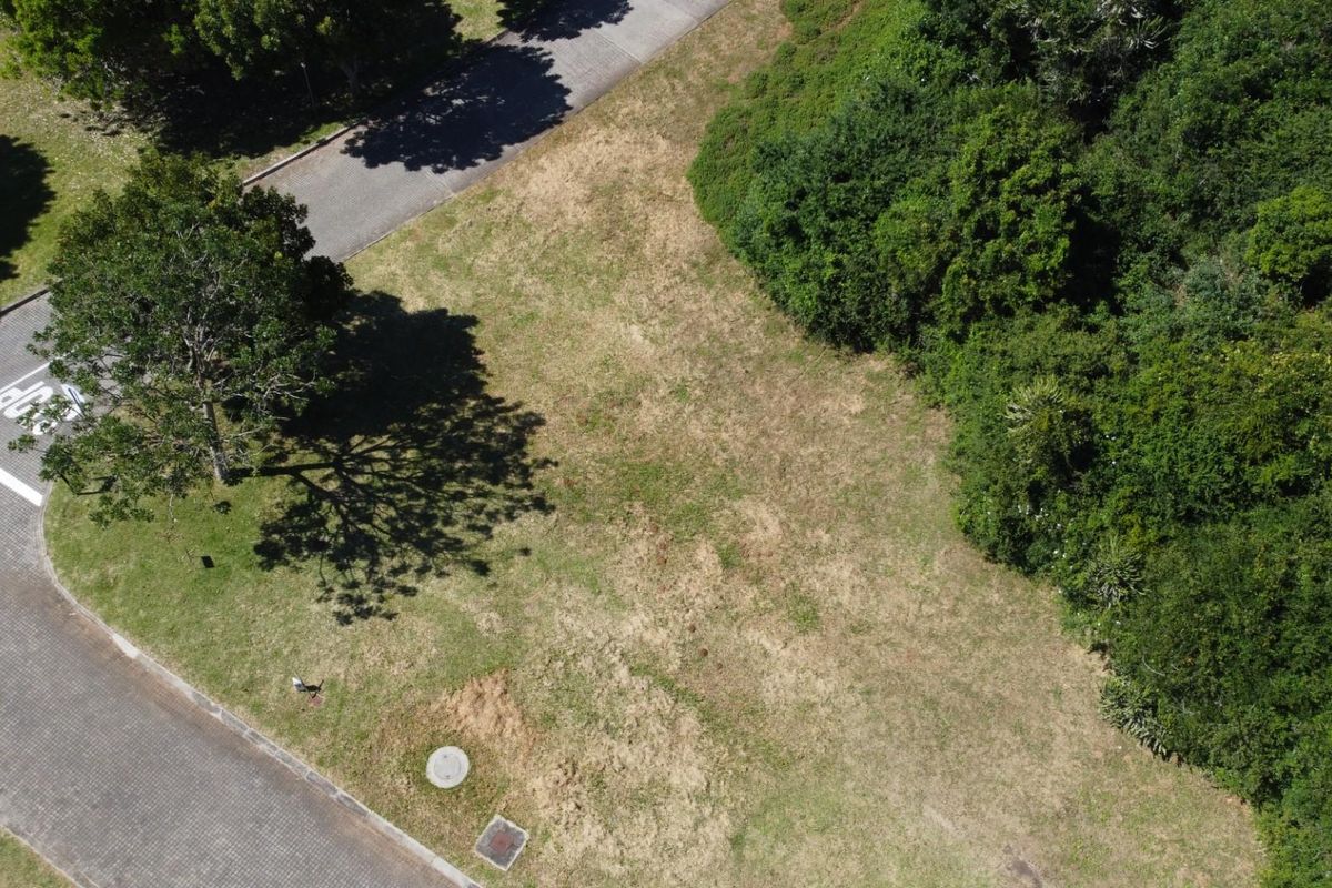 An aerial view of a vacant residential plot featuring established trees, grass cover, and proximity to a paved road and intersection.