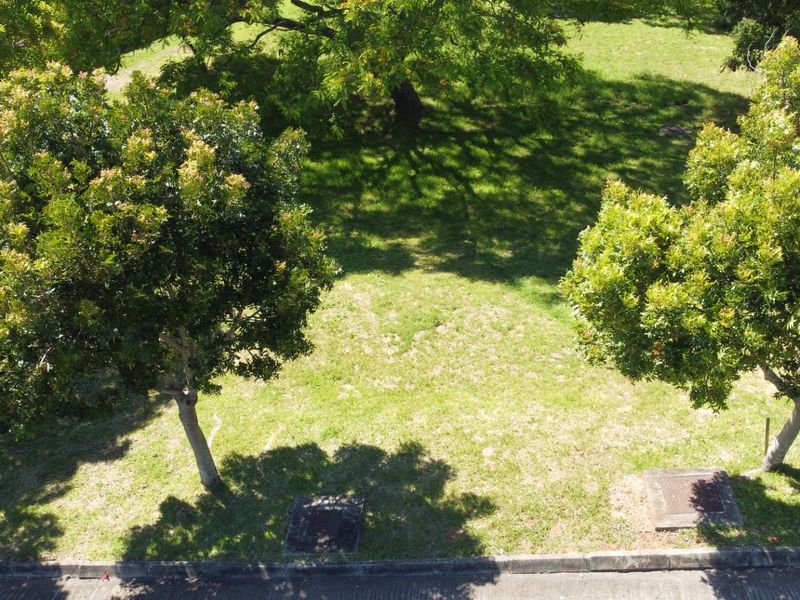 An elevated aerial view of a vacant residential plot featuring established trees and maintained grass lawn.