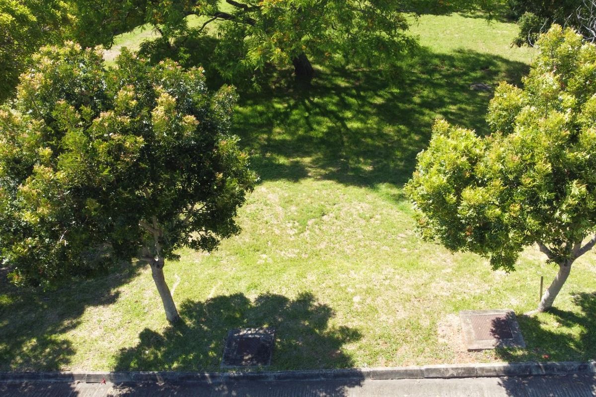 An elevated aerial view of a vacant residential plot featuring established trees and maintained grass lawn.