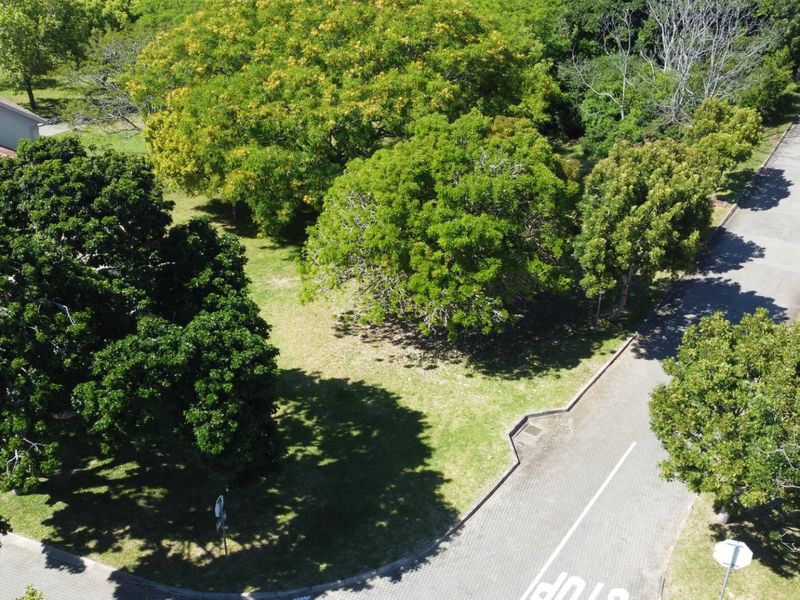 An aerial view of a vacant residential plot featuring mature trees, established landscaping, and adjacent paved road access within a residential estate.
