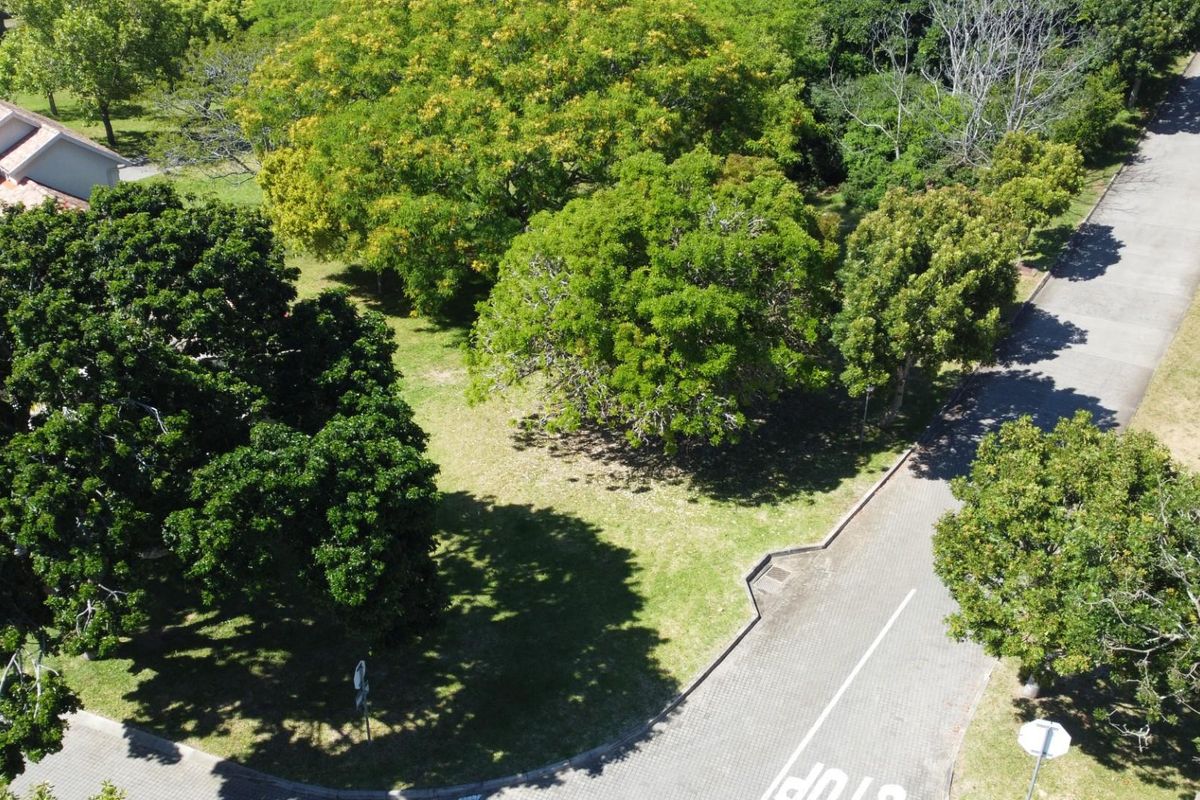 An aerial view of a vacant residential plot featuring mature trees, established landscaping, and adjacent paved road access within a residential estate.