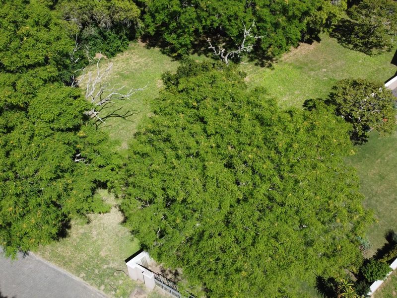 An aerial view of a residential vacant land plot featuring mature trees and established greenery, situated within a developed neighborhood setting.