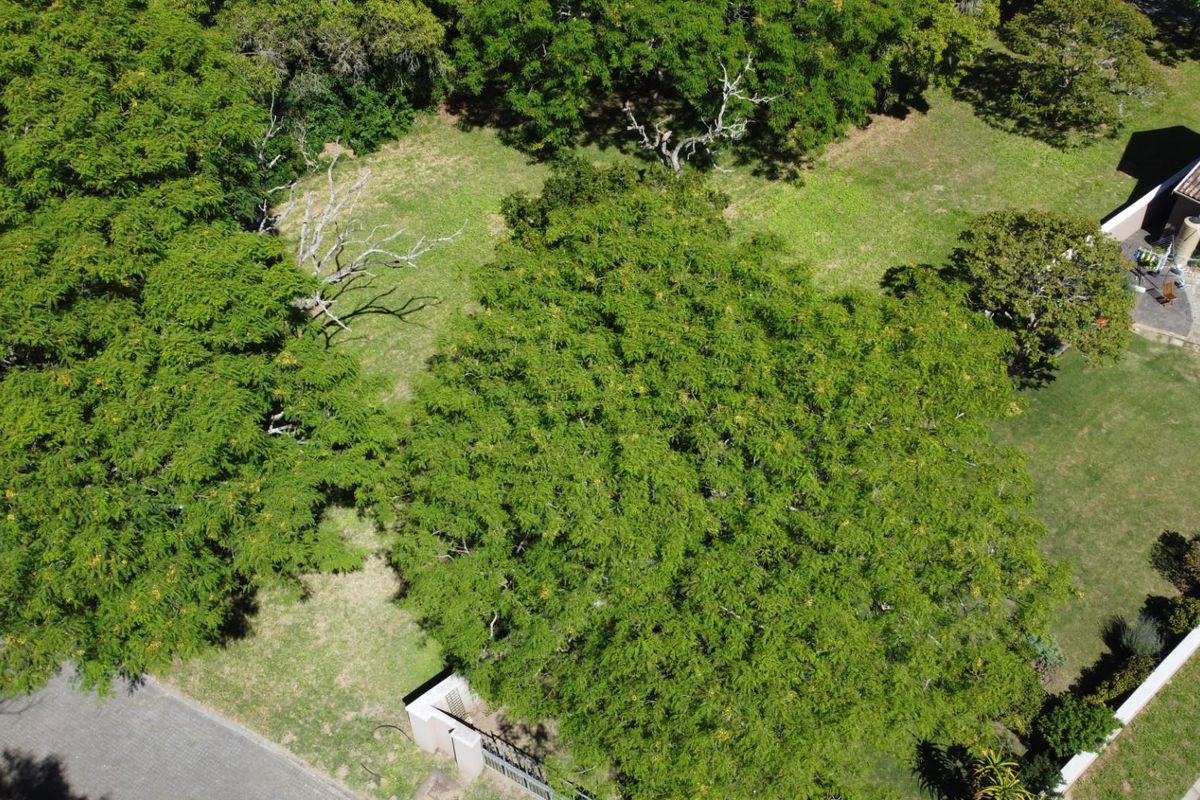An aerial view of a residential vacant land plot featuring mature trees and established greenery, situated within a developed neighborhood setting.