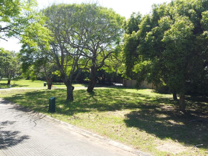 A vacant residential plot featuring established trees, a paved driveway, and a well-maintained grassed area.