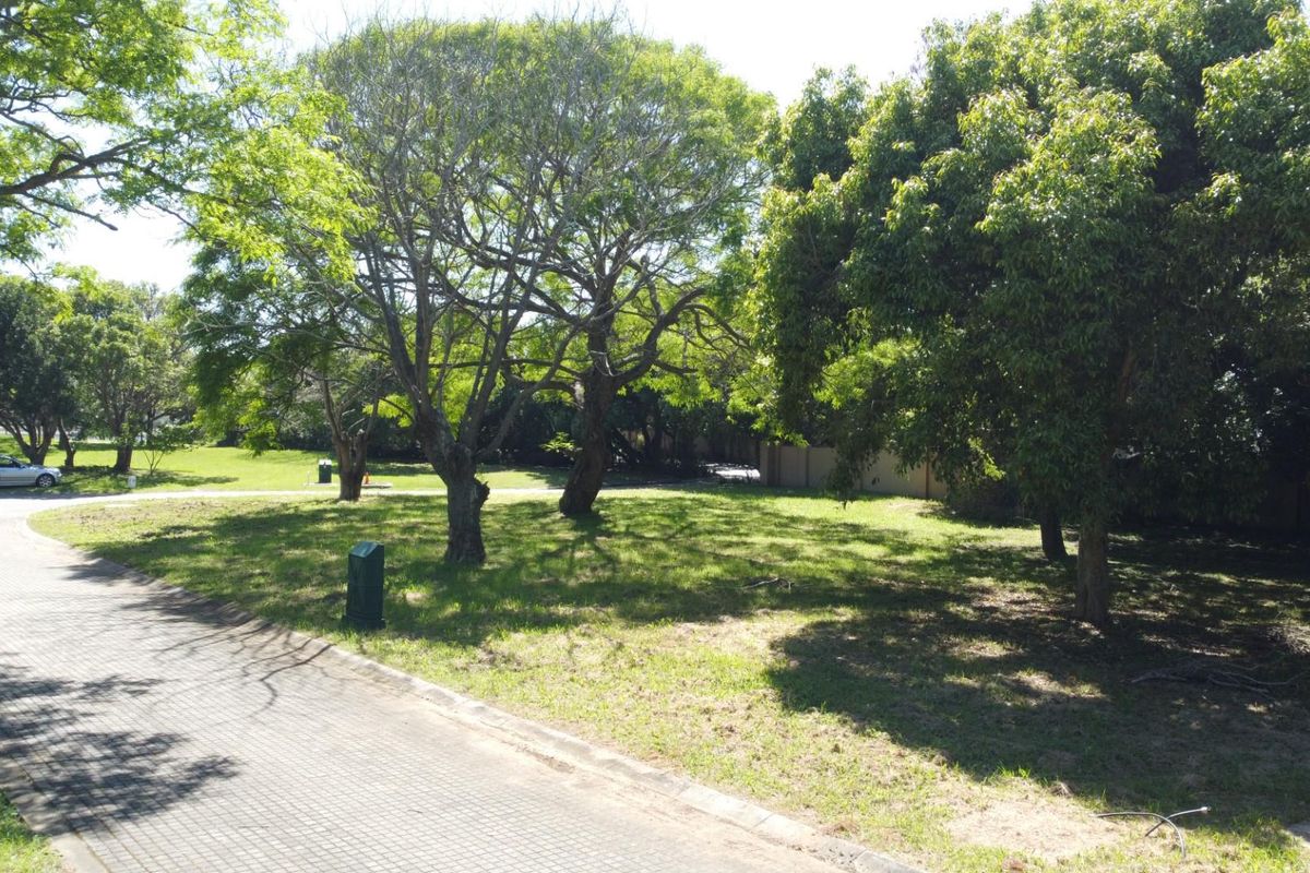 A vacant residential plot featuring established trees, a paved driveway, and a well-maintained grassed area.