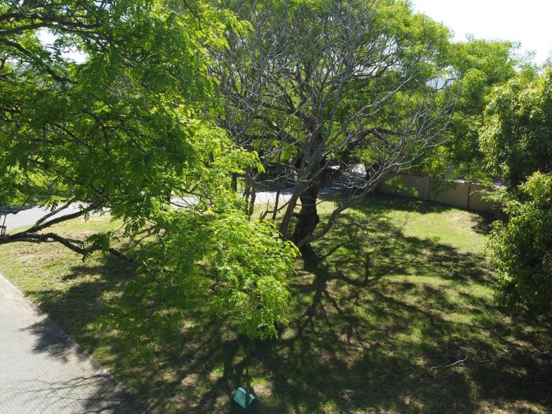 An elevated view of a vacant residential plot featuring mature trees, established lawn, and paved street access.