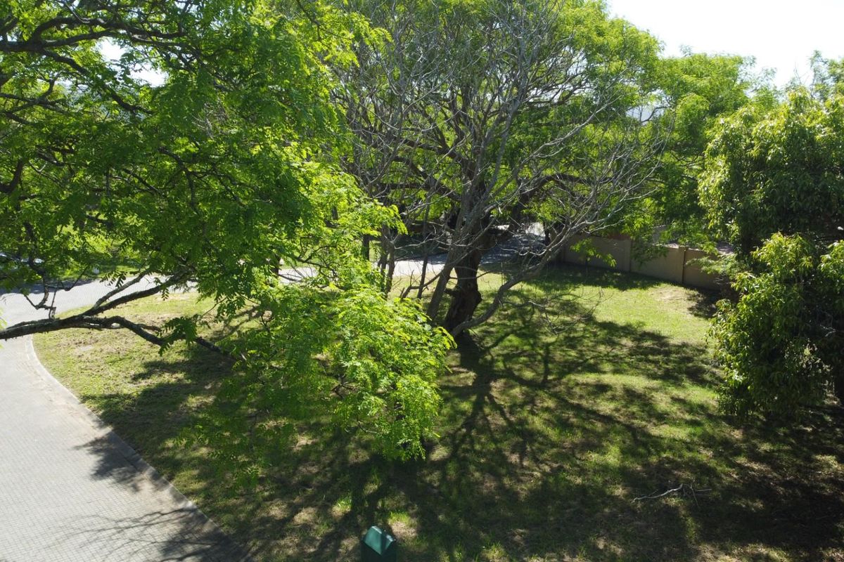 An elevated view of a vacant residential plot featuring mature trees, established lawn, and paved street access.