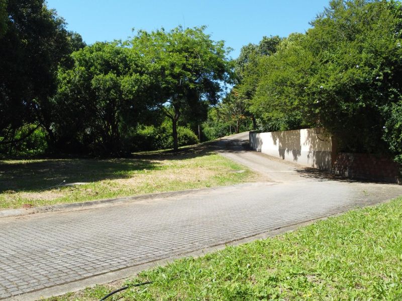 A view of the residential vacant land featuring a paved driveway, established trees, and a boundary wall.