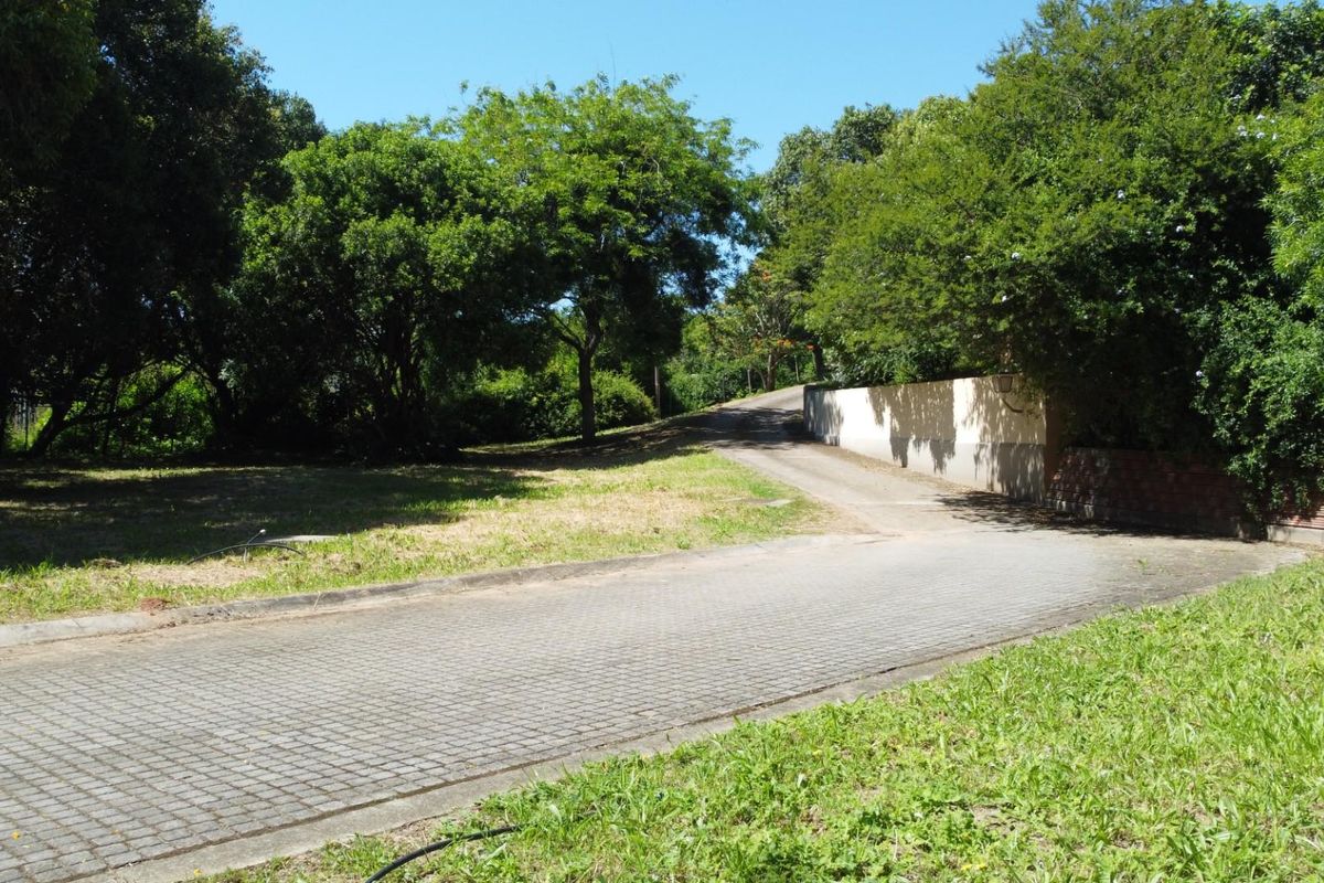 A view of the residential vacant land featuring a paved driveway, established trees, and a boundary wall.