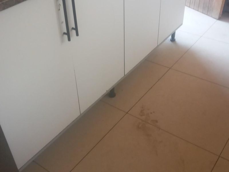 House available in Seshego zone 8 Seshego , Polokwane - Photo 7