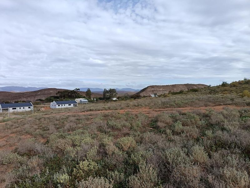 Farm For Sale in Van Wyksdorp, Ladismith - Photo 5