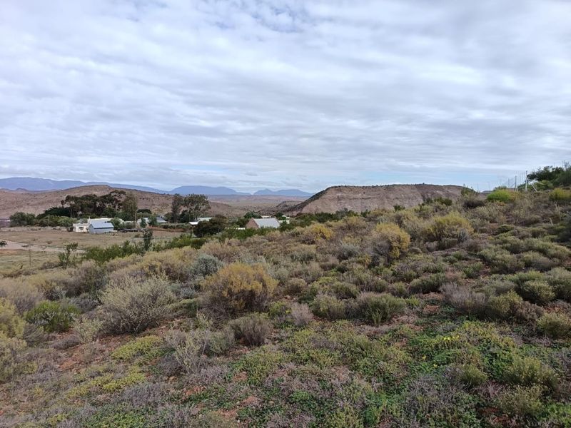 Farm For Sale in Van Wyksdorp, Ladismith - Photo 2