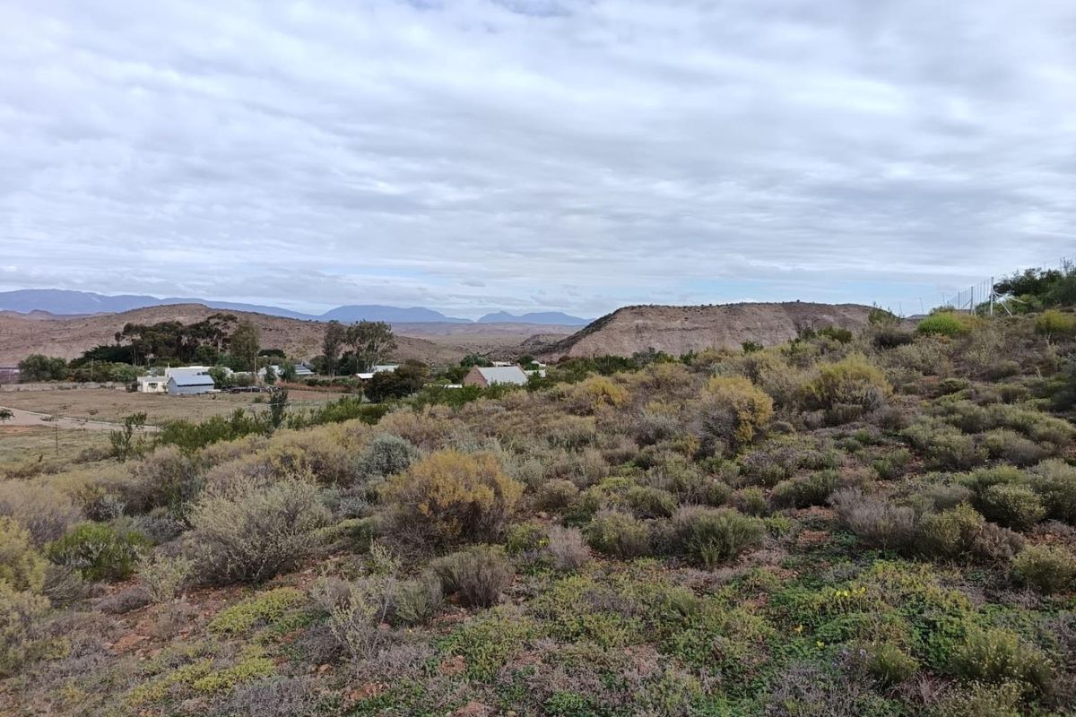 Farm For Sale in Van Wyksdorp, Ladismith - Photo 2