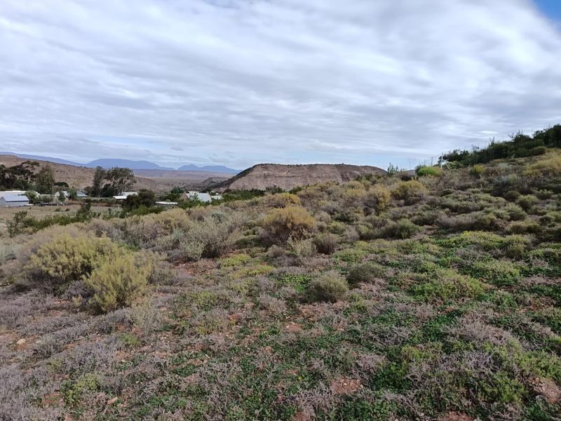 Farm For Sale in Van Wyksdorp, Ladismith - Photo 6