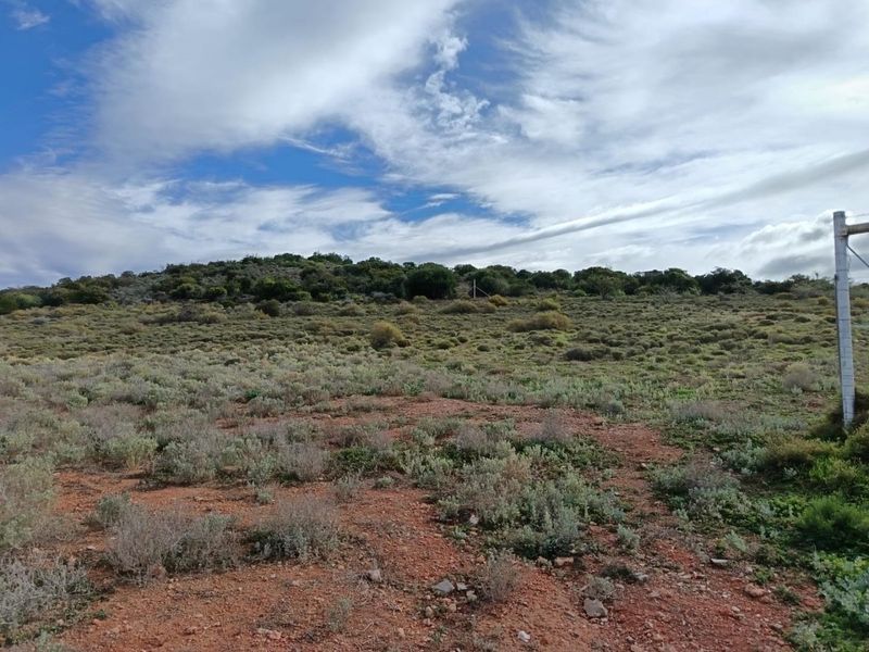 Farm For Sale in Van Wyksdorp, Ladismith - Photo 7