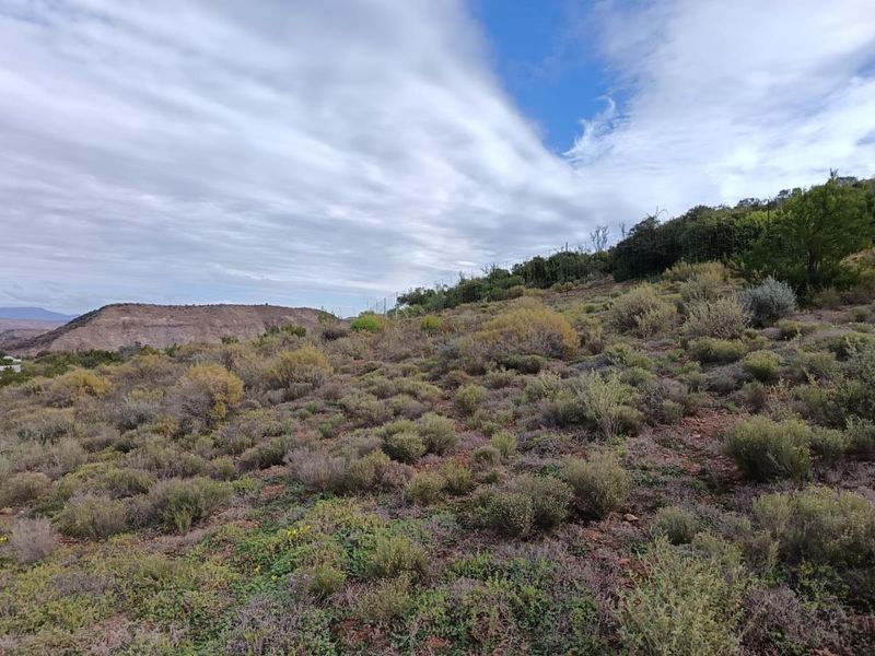 Farm For Sale in Van Wyksdorp, Ladismith - Photo 1
