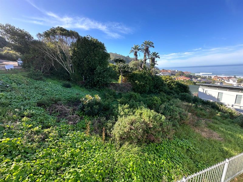 A Vacant Parcel of Boasting Unparalleled Sea Views - Photo 9