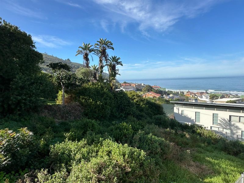 A Vacant Parcel of Boasting Unparalleled Sea Views - Photo 10