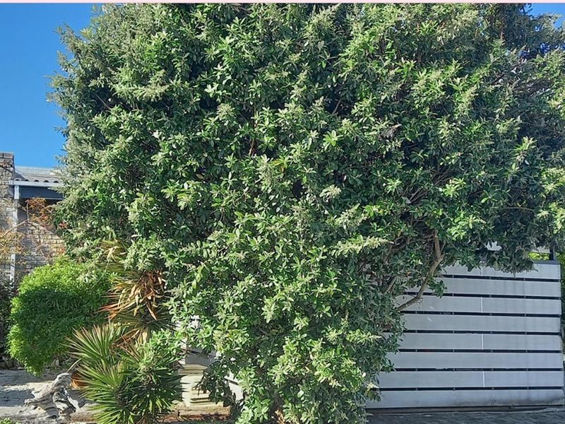 Spacious Family Home + Rental Potential - Van Dyks Bay - Photo 3