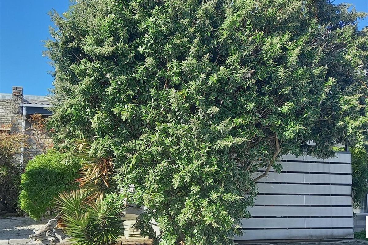 Spacious Family Home + Rental Potential - Van Dyks Bay - Photo 3