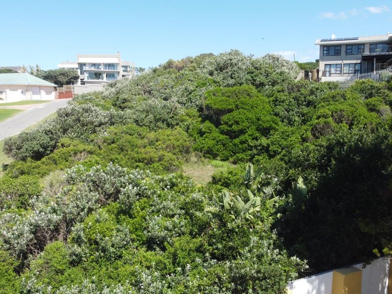 An elevated view of a vacant residential plot densely covered with indigenous coastal vegetation, situated within an established neighborhood.