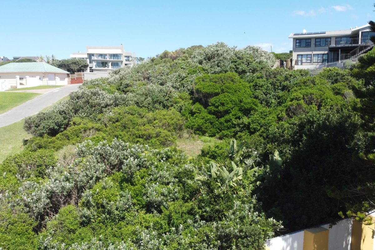An elevated view of a vacant residential plot densely covered with indigenous coastal vegetation, situated within an established neighborhood.