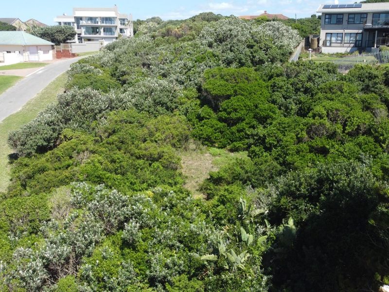 An elevated aerial view of a vacant residential plot densely covered with indigenous coastal vegetation and shrubs in a developed neighborhood.