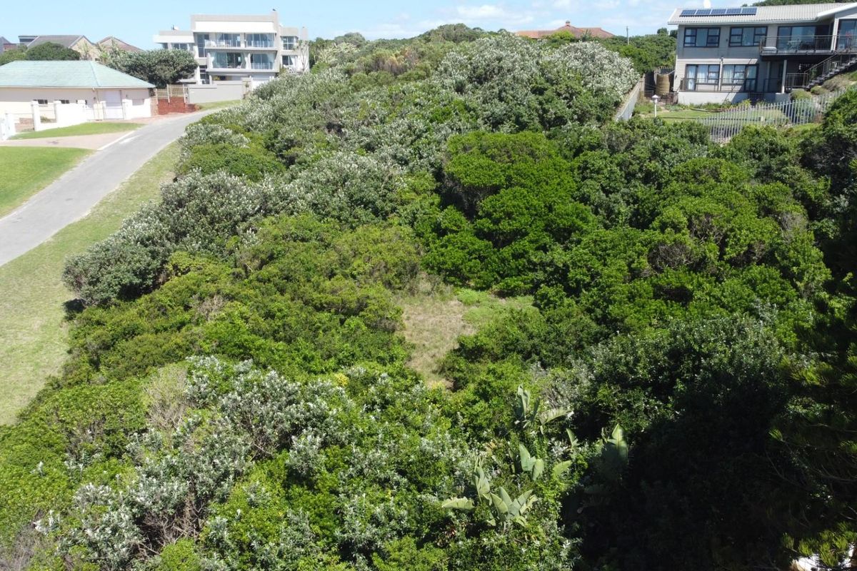 An elevated aerial view of a vacant residential plot densely covered with indigenous coastal vegetation and shrubs in a developed neighborhood.