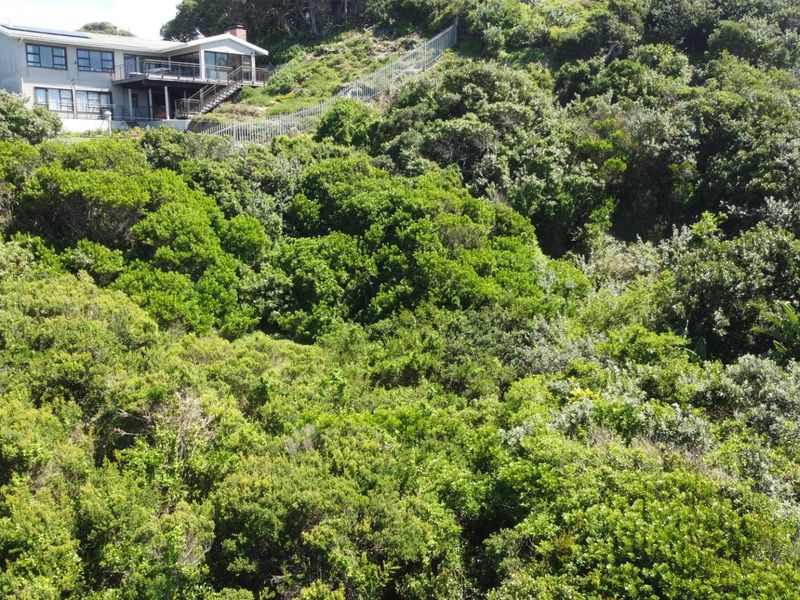 An elevated view of a residential property set within a dense, natural coastal forest landscape.