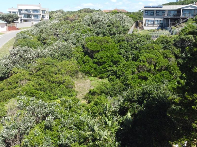 An elevated aerial view of a vacant residential plot densely covered with indigenous coastal vegetation, situated within an established residential neighborhood.