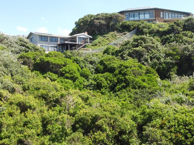 Elevated view of residential properties nestled within dense coastal vegetation, showcasing the natural landscape and hillside positioning.