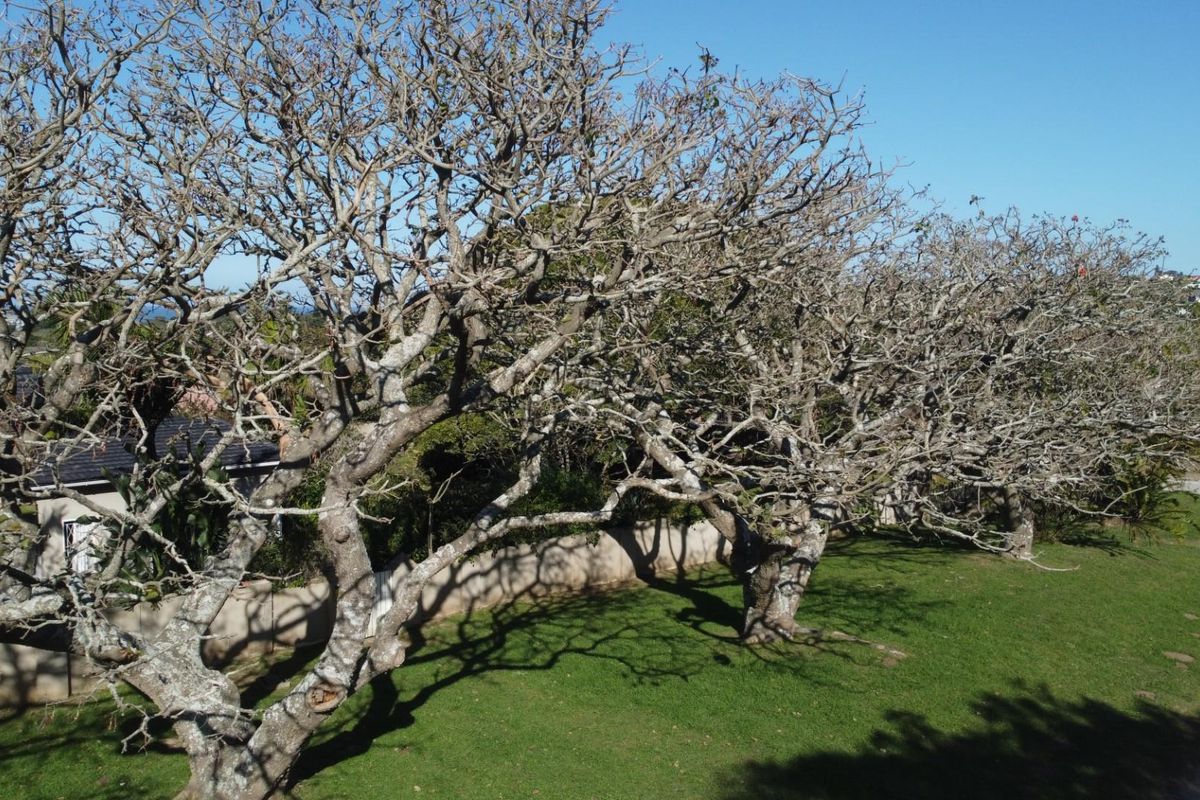 Three Bedroom House with Two Bedroom Flatlet - Photo 5