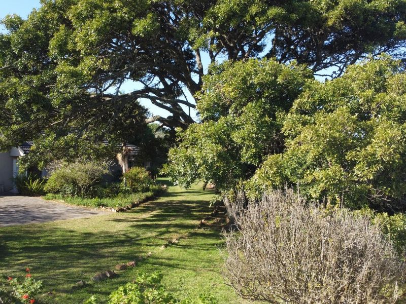 Three Bedroom House with Two Bedroom Flatlet - Photo 6