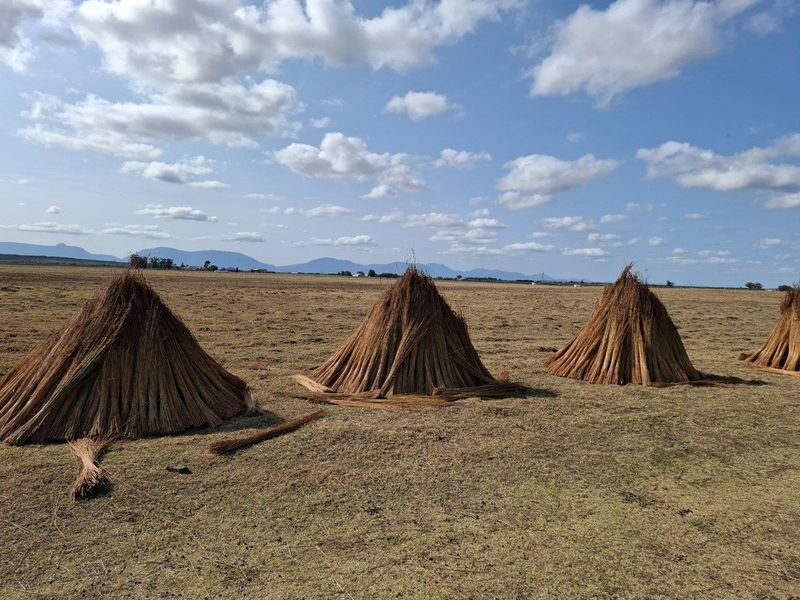 Farm For Sale in Riversdale Rural, Riversdale - Photo 3