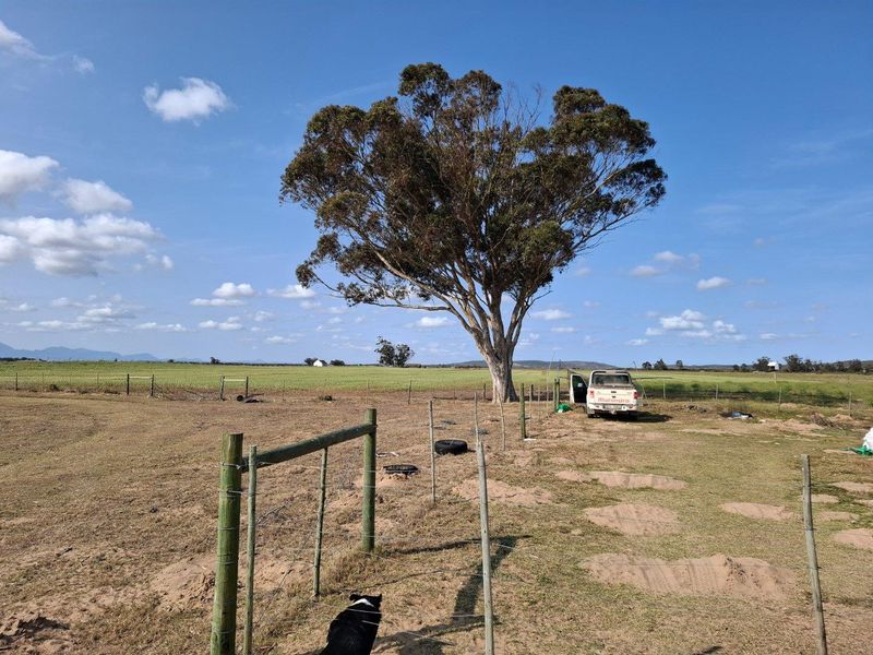 Farm For Sale in Riversdale Rural, Riversdale - Photo 8